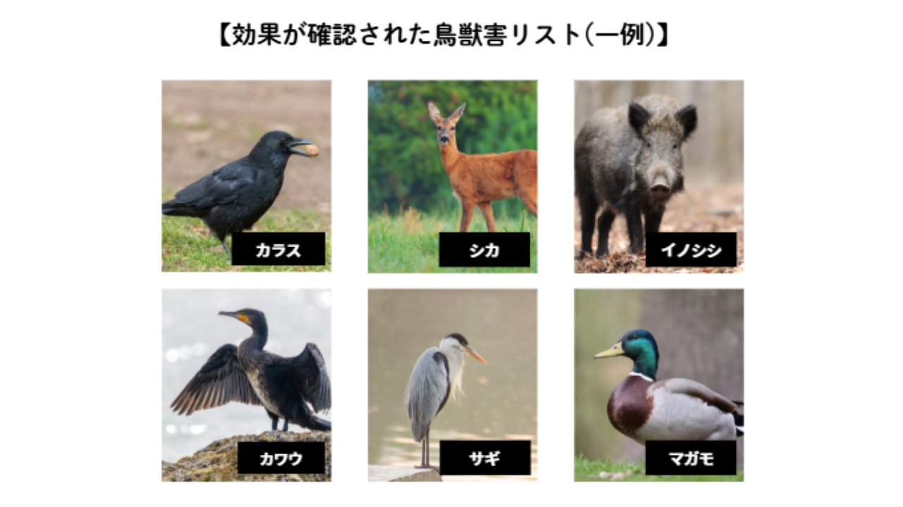 NTT e-Drone Technology、鳥獣害対策ドローン「BB102」の提供開始