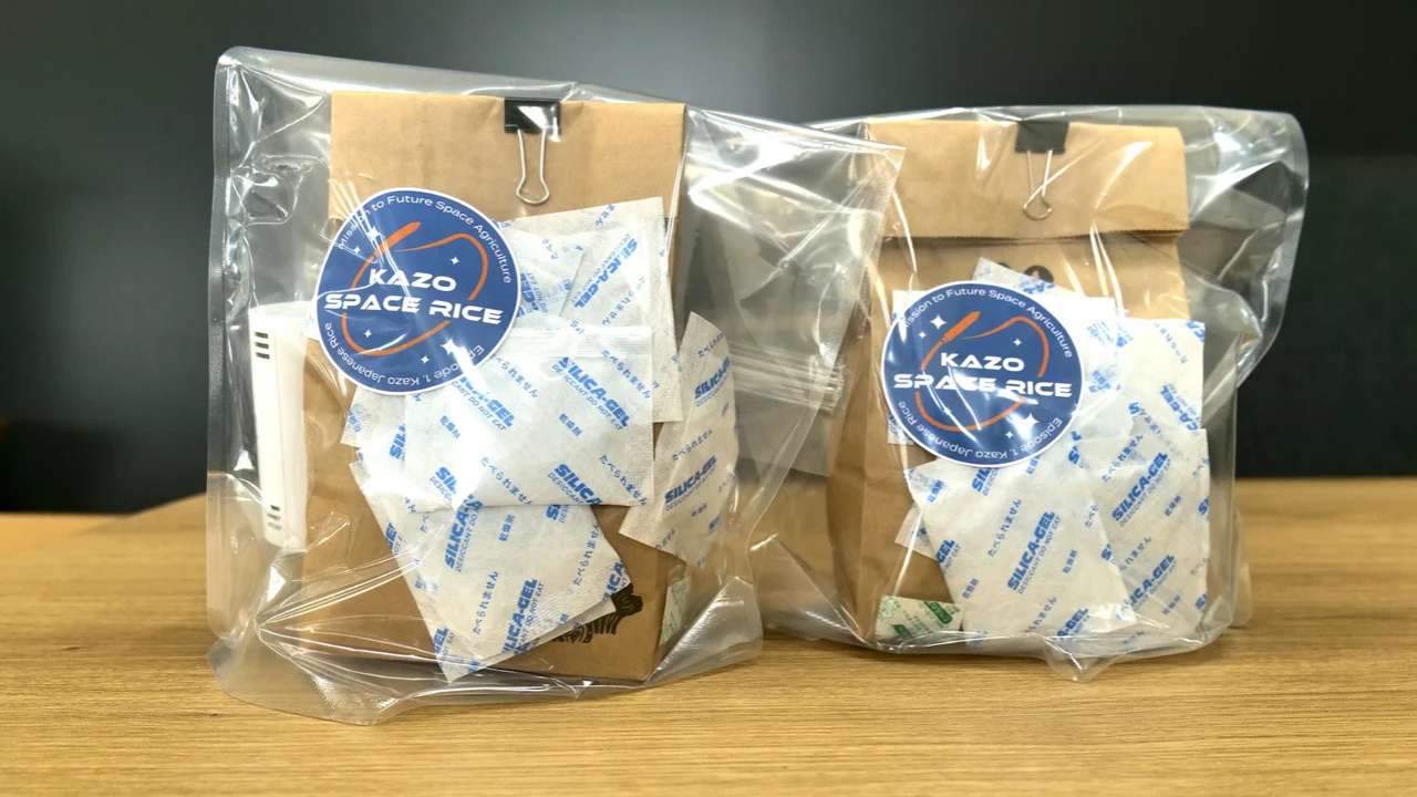 DigitalBlastと埼玉県加須市の「加須宇宙米」が宇宙へ!