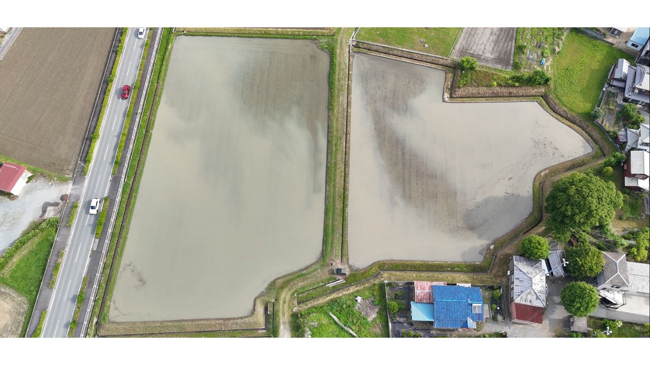 エアーアシストジャパン、休耕田を再び実りの場に。ドローンやAIをフル活用した地域業者の協働で農地再生プロジェクト始動