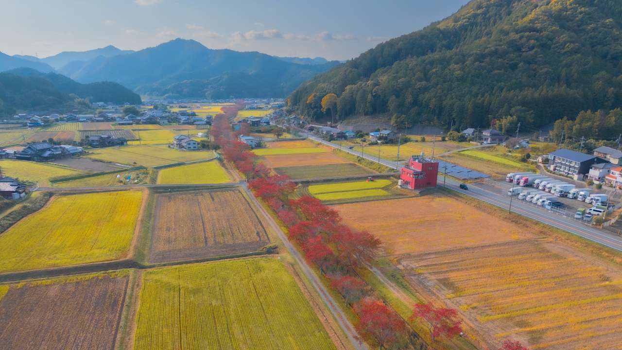 Mini 5 Pro、"紅葉前夜"のテストフライト──静けさの中で見えた進化[田路昌也の中国・香港ドローン便り]Vol.58