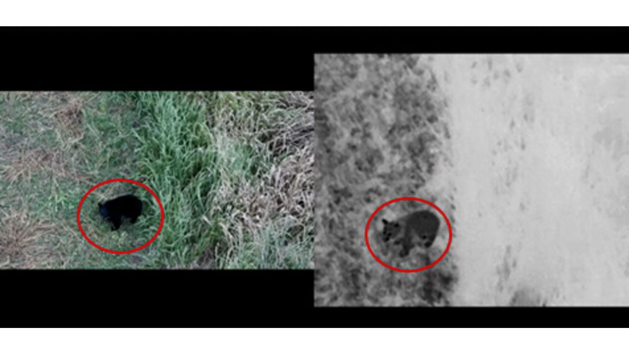 福島県昭和村とNTTドコモビジネス、セルラードローン Skydio X10を活用した熊対策を開始