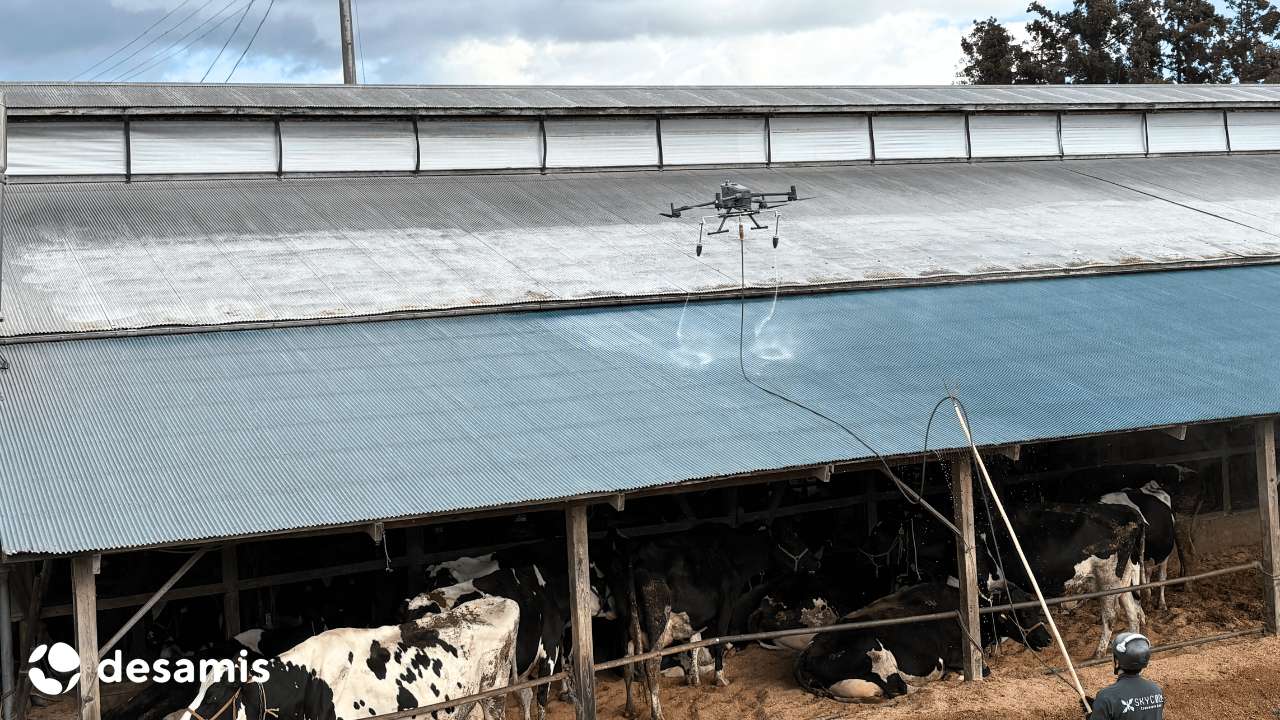 デザミス、宮城県酪初のドローンを活用した暑熱対策事業を実施