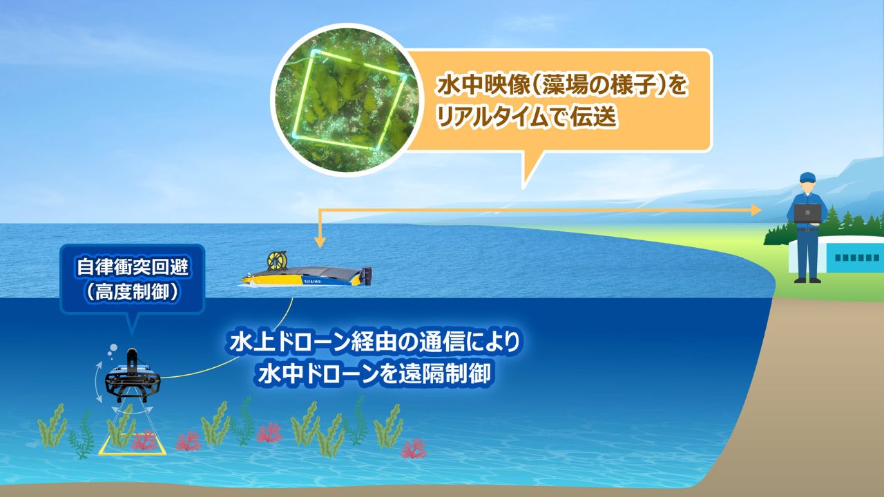 BlueArch、国内初、“水上ドローン・水中ドローン連携技術によるブルーカーボン測定手法”の実証プロジェクトを神奈川県・UMIAILEと開始