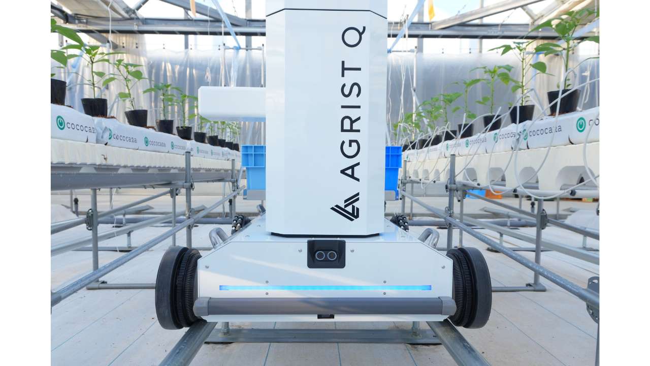 キュウリ自動収穫ロボットのAGRIST、いばらきデザインセレクション2025にて「知事選定」を受賞