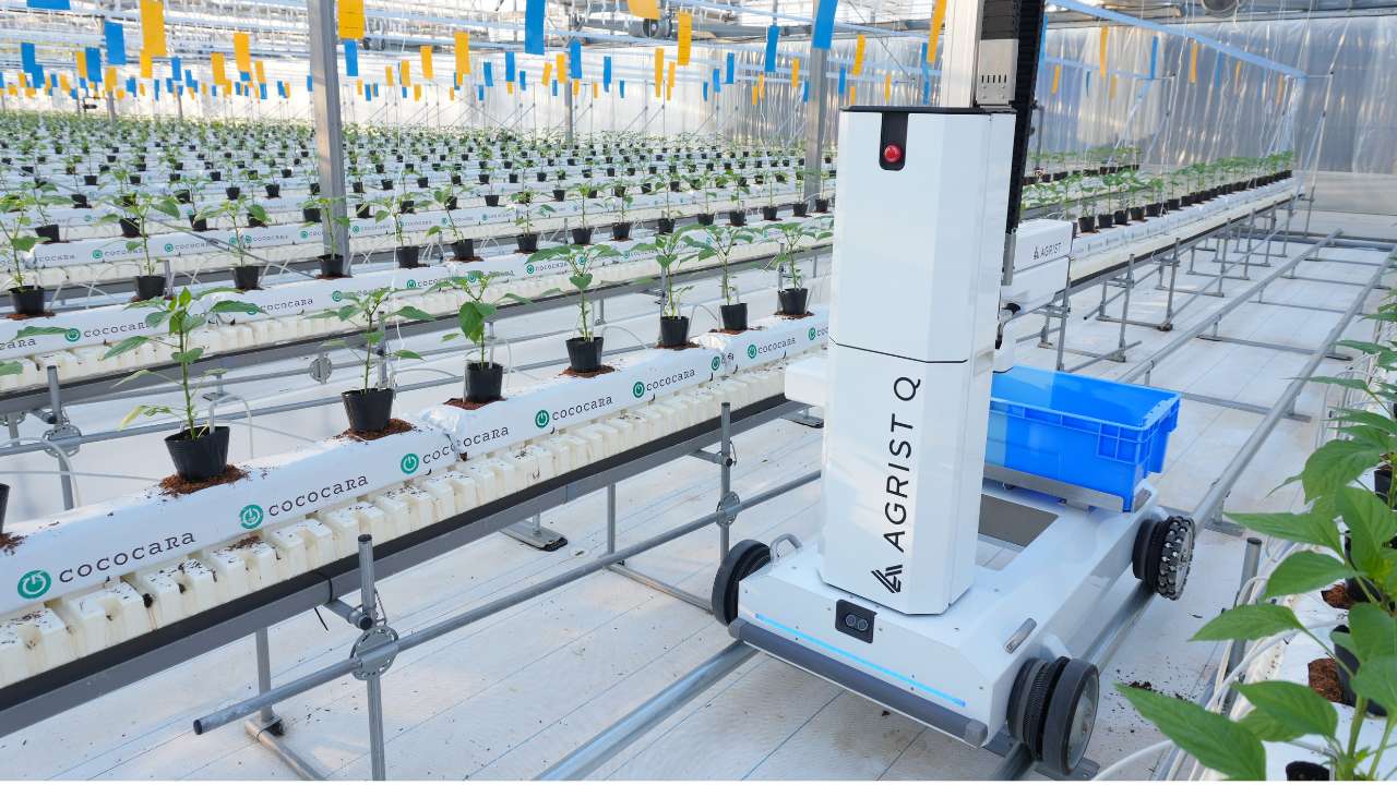 キュウリ自動収穫ロボットのAGRIST、いばらきデザインセレクション2025にて「知事選定」を受賞