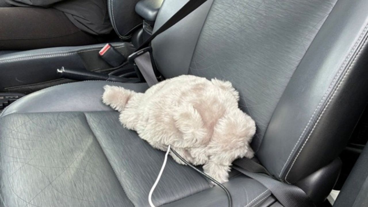 トヨタ・モビリティ基金、ドライバーの安全運転意識を高める“起こしたくない猫型ロボット”「ドラにゃむ」の実証実験を実施