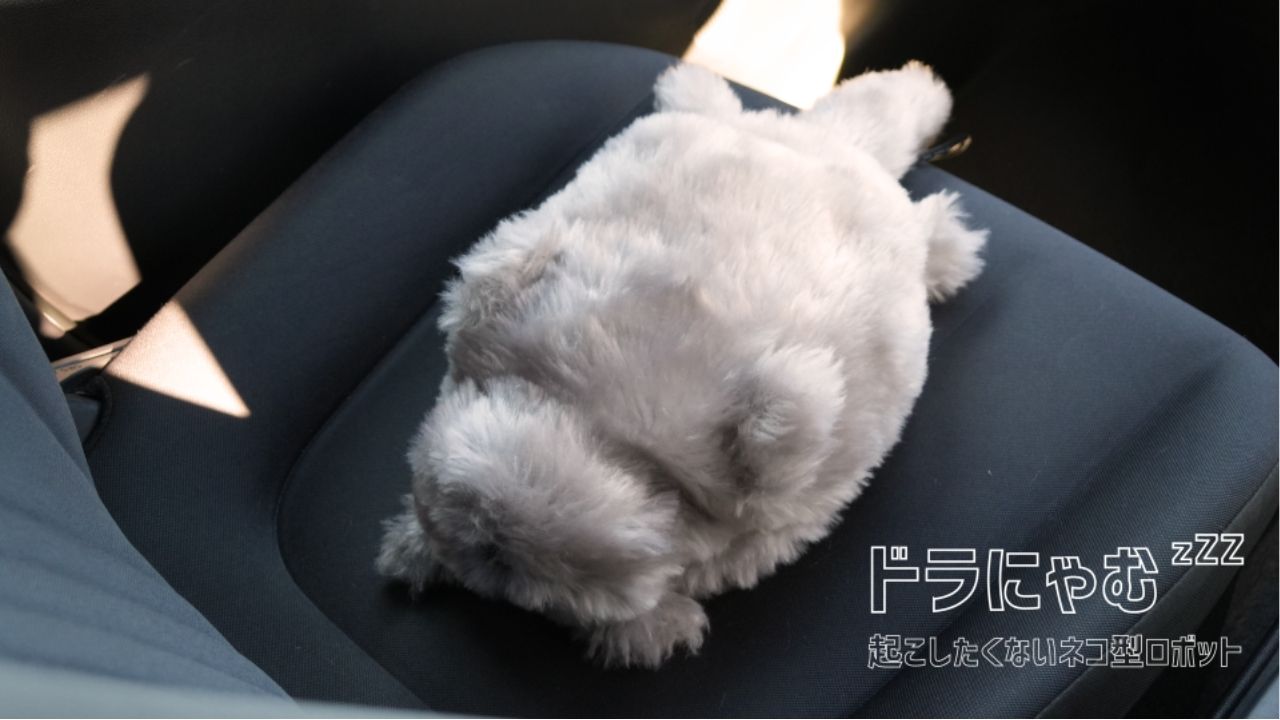 トヨタ・モビリティ基金、ドライバーの安全運転意識を高める“起こしたくない猫型ロボット”「ドラにゃむ」の実証実験を実施