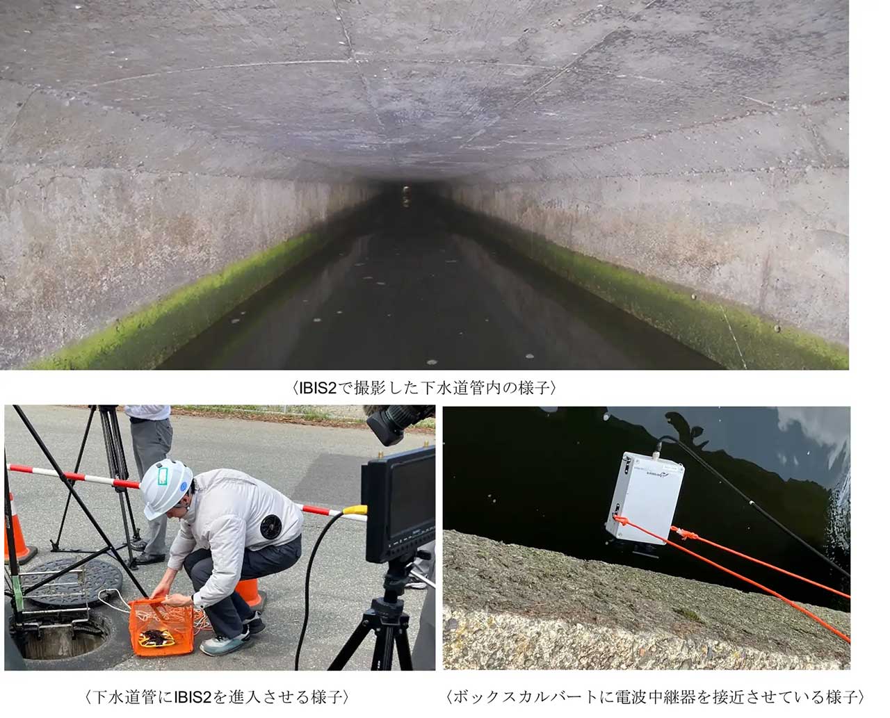 今回の調査について