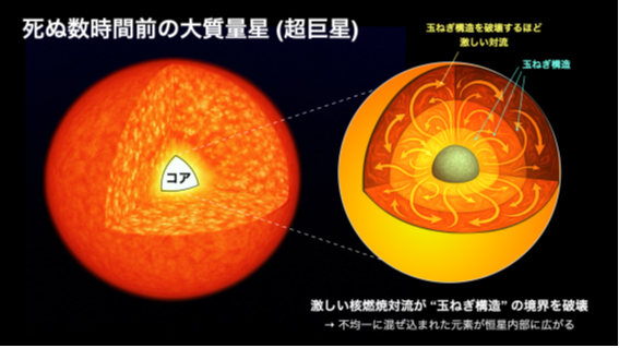 明治大学、星の死に際の “破壊的核燃焼” を明らかに