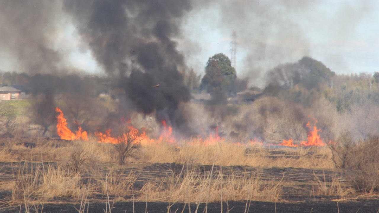 260323_report_yoshiyaki_01IVt6bYh5