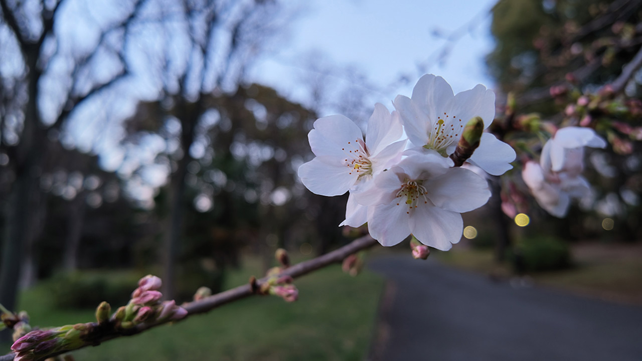 reviews_101_03mVJC10CG