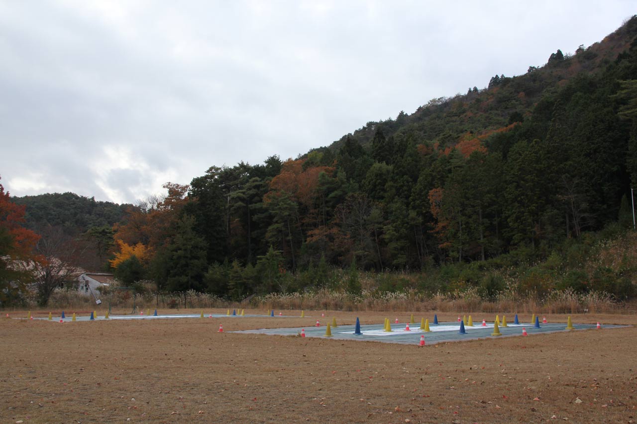 reviews_TDOT-7-GREEN-LITE_05vOI3D0xh