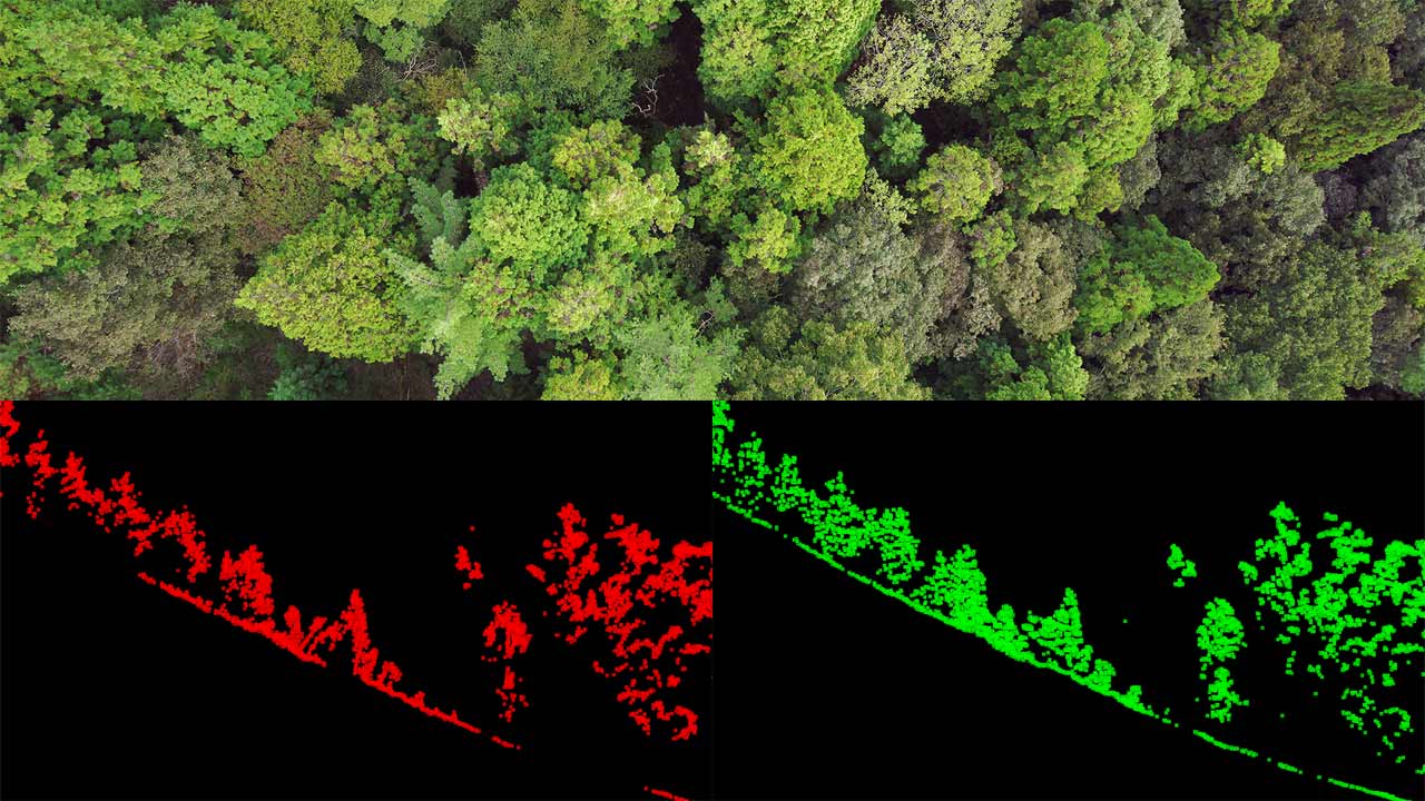 reviews_TDOT-7-GREEN-LITE_20MJnquv2W